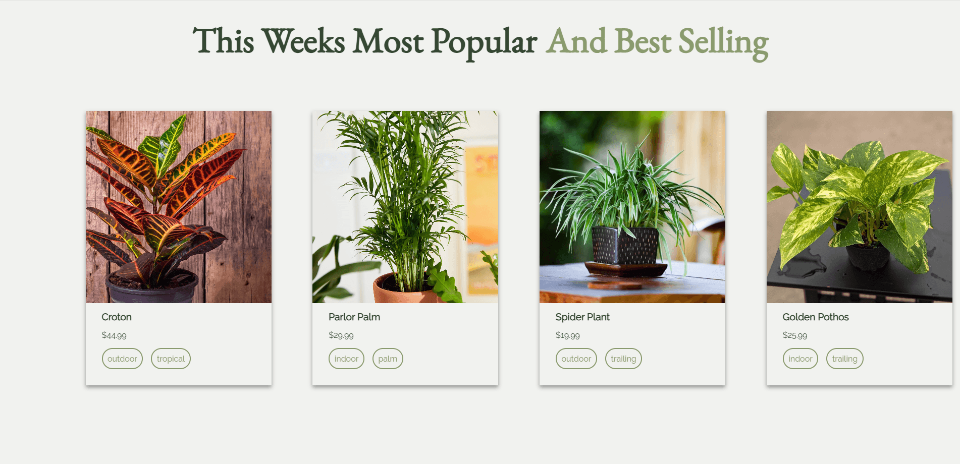 Best Selling Carousel project image